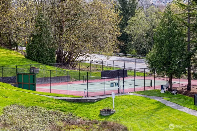a view of a backyard with a garden and plants