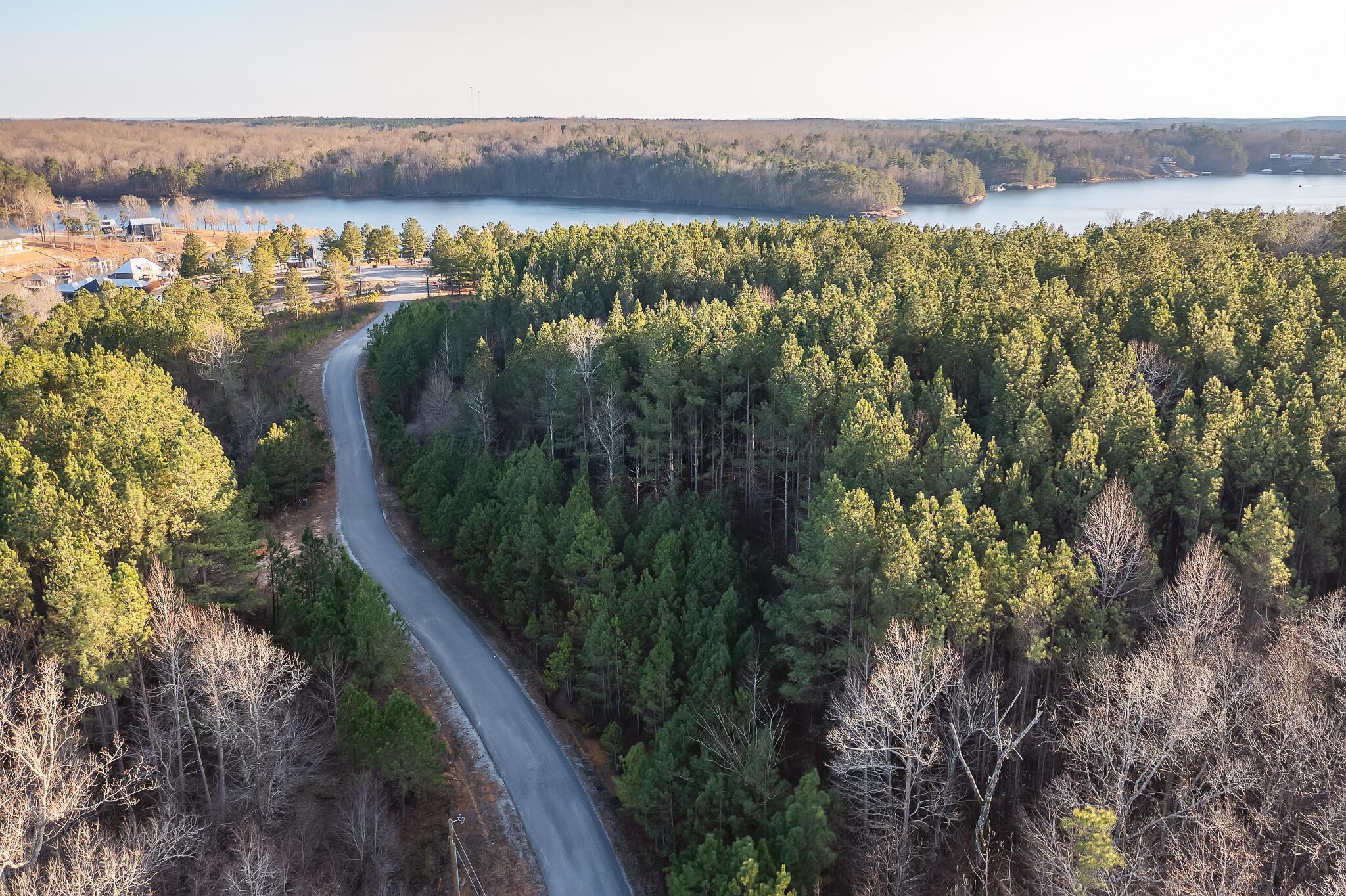 2025 County Road Crane Hill, AL 35053 - Photo 9 of 9 Gallery Image 9