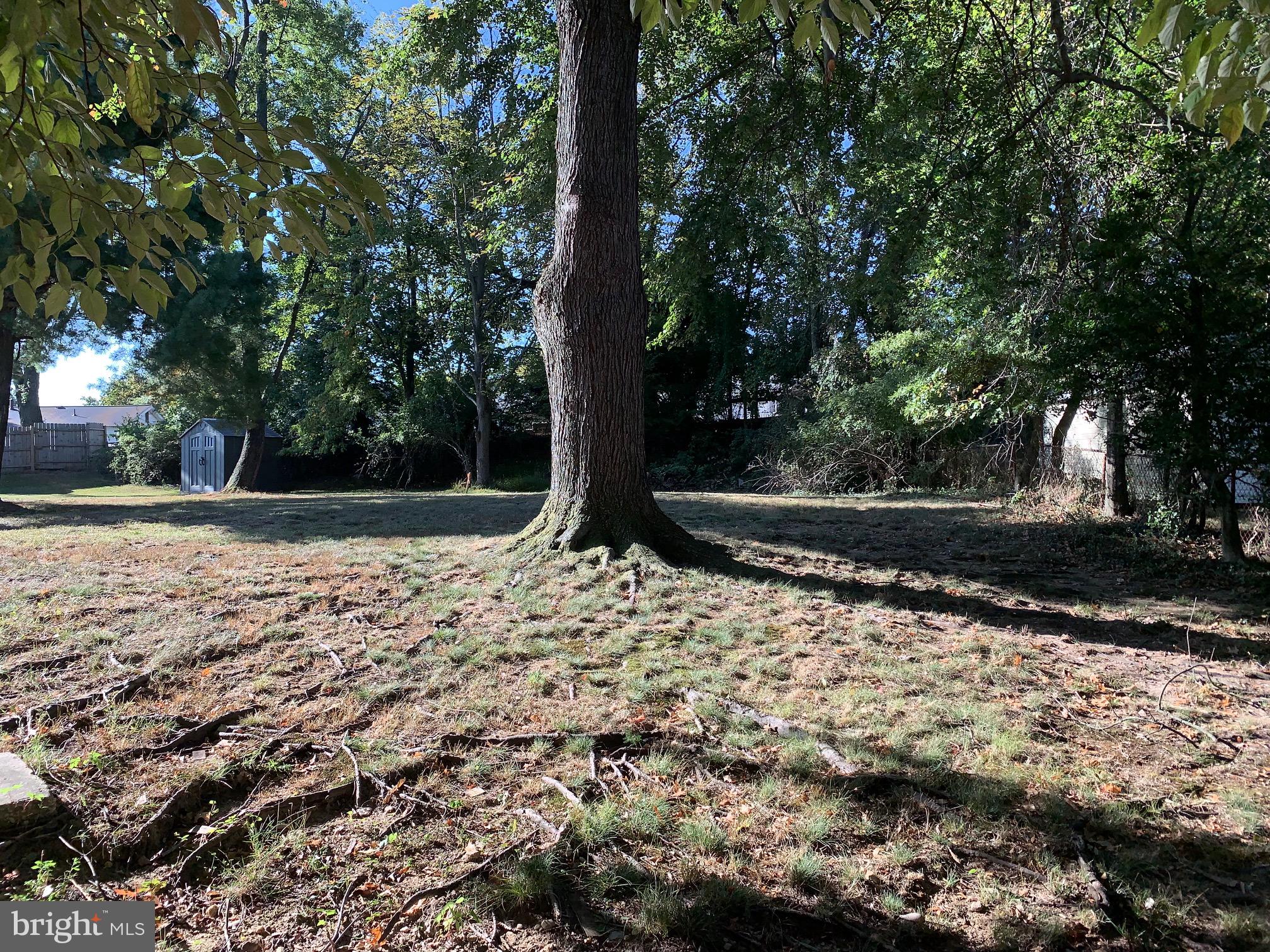 1109 Devere Drive Silver Spring, MD 20903 - Photo 7 of 9