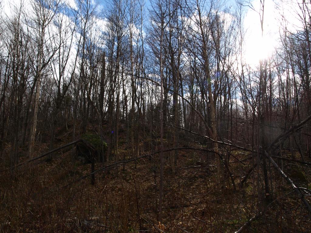1767.4 Stevens Mill Road Jay, VT 05859 - Photo 3 of 6 Gallery Image 3
