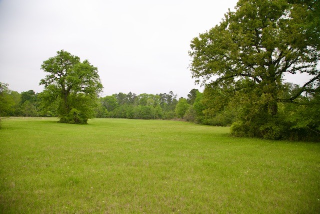 195 Hearne Road Corrigan, TX 75939 - Photo 23 of 23
