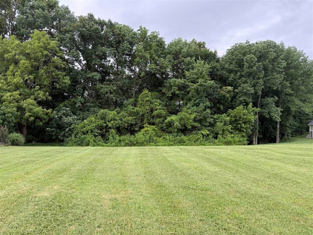 0 Indian Point Road Glasgow, KY 42141 - Photo 4 of 10 Gallery Image 4