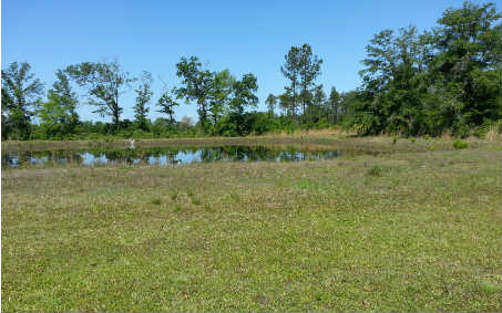 37262 Old Pineridge Road Hilliard, FL 32046 - Photo 15 of 15 Gallery Image 15