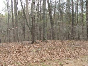 Lot 32 Scruggs Road Moneta, VA 24121 - Photo 1 of 7 Lot 32