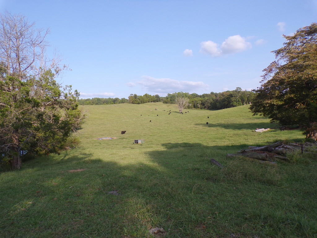 180 Antle Road Jamestown, KY 42629 - Photo 42 of 57 15