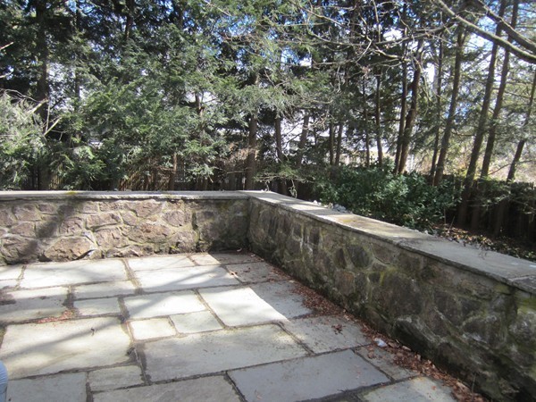 61 Denton Road Wellesley, MA 02482 - Photo 16 of 16 a view of a yard with trees in the background