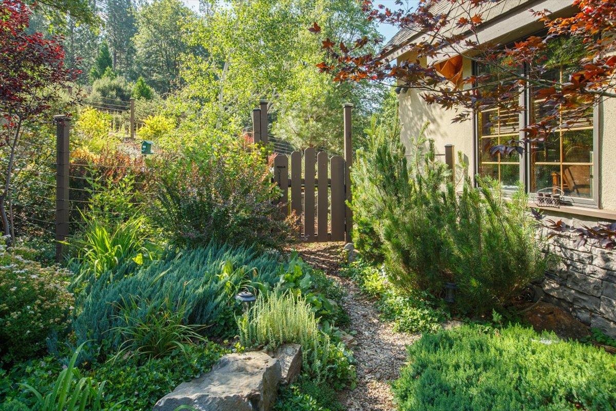 566 Main Ranch Road Quincy, CA 95971 - Photo 6 of 47