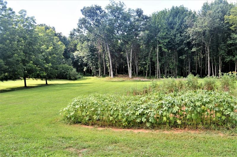 12 Pickney Road Winchester, TN 37398 - Photo 2 of 6 This gorgeous 0.73 acre lot is in the prestigious Queen S Estate.