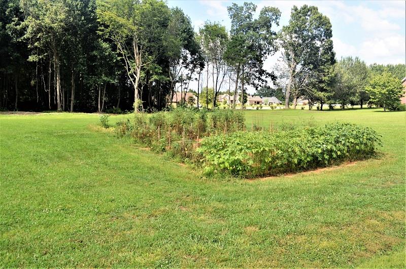 12 Pickney Road Winchester, TN 37398 - Photo 3 of 6 Great location close to the Hospital, Businesses, and Schools.