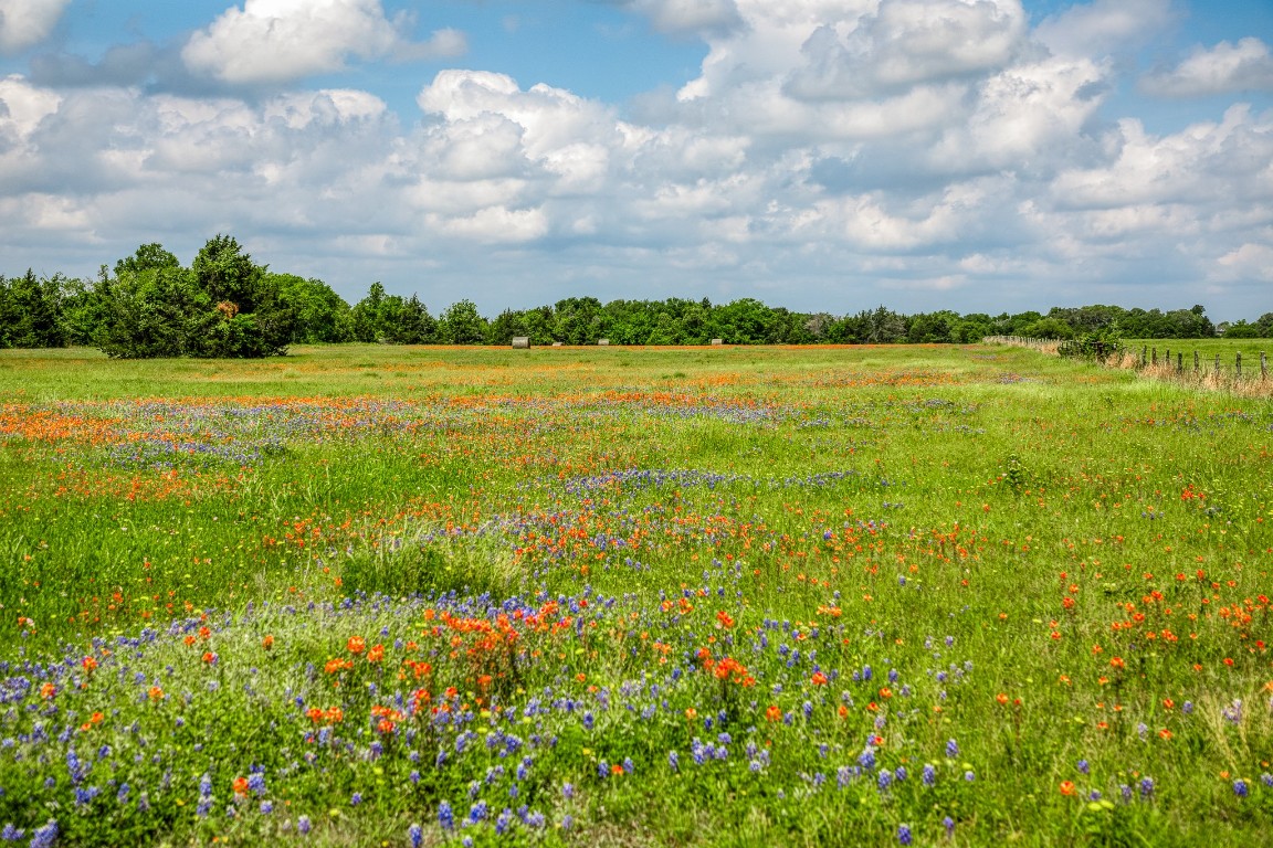 4701 Cedar Hill Road Brenham, TX 77833 - Photo 15 of 50 a view of a lake view