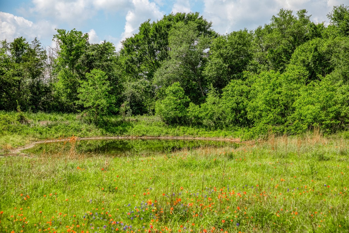 4701 Cedar Hill Road Brenham, TX 77833 - Photo 30 of 50 a view of a garden with a lake