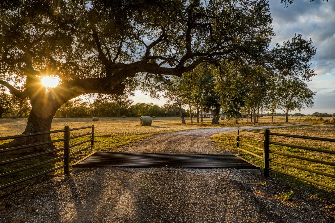 4701 Cedar Hill Road Brenham, TX 77833 - Photo 31 of 50 a view of a yard with wooden fence