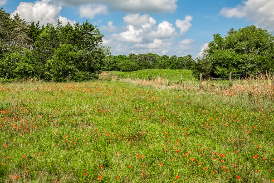 4701 Cedar Hill Road Brenham, TX 77833 - Photo 48 of 50 a view of a lake with a yard