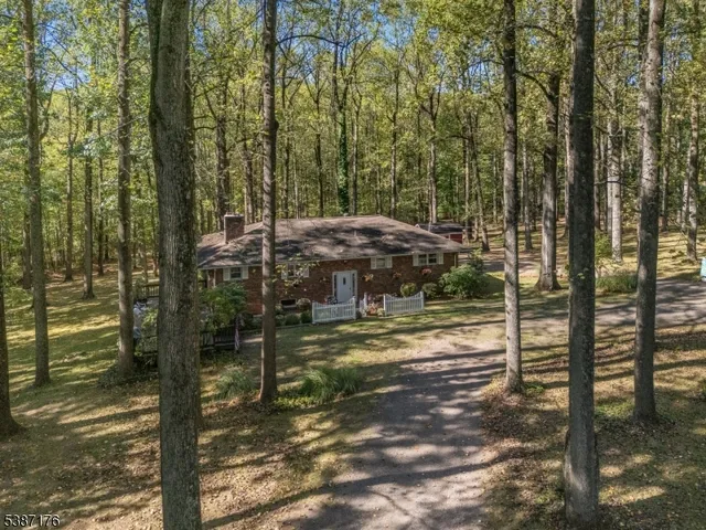 a view of a park that has large trees