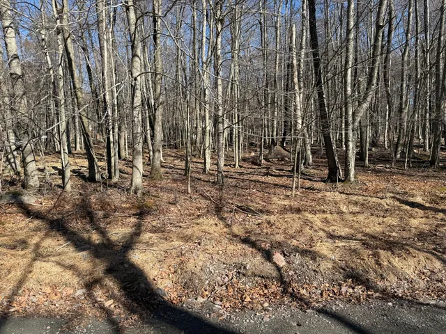 $119,000 | Skyview La Skyview La, Greentown, PA 18426