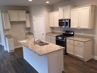 Lot 391 Pin Oak Loop Drive Santa Rosa Beach, FL 32459 - Photo 22 of 27 IsabellaKitchen3