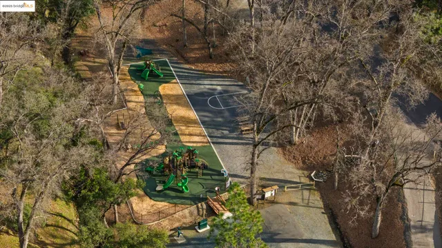 a view of a playground with a garden
