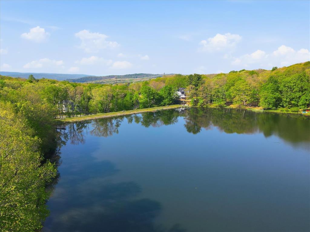3301 Windermere Drive Bushkill, PA 18324 - Photo 69 of 93