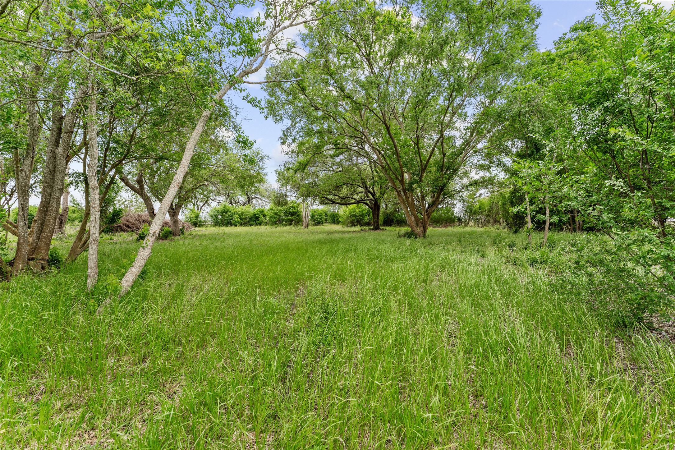 3325 FM 360 Road Rosenberg, TX 77471 - Photo 11 of 22 a view of grassy field with trees