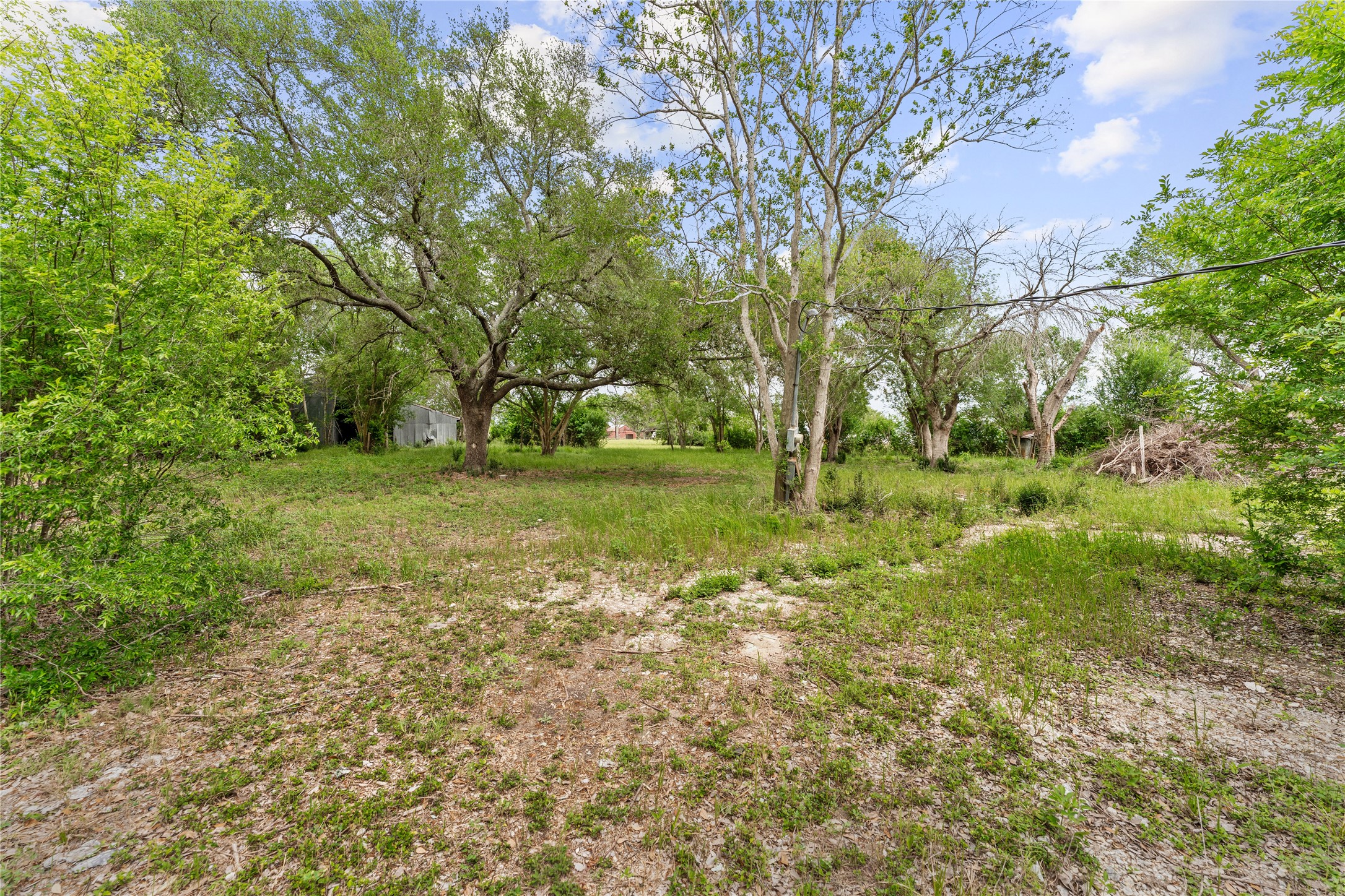 3325 FM 360 Road Rosenberg, TX 77471 - Photo 13 of 22 a big yard with lots of green space and trees