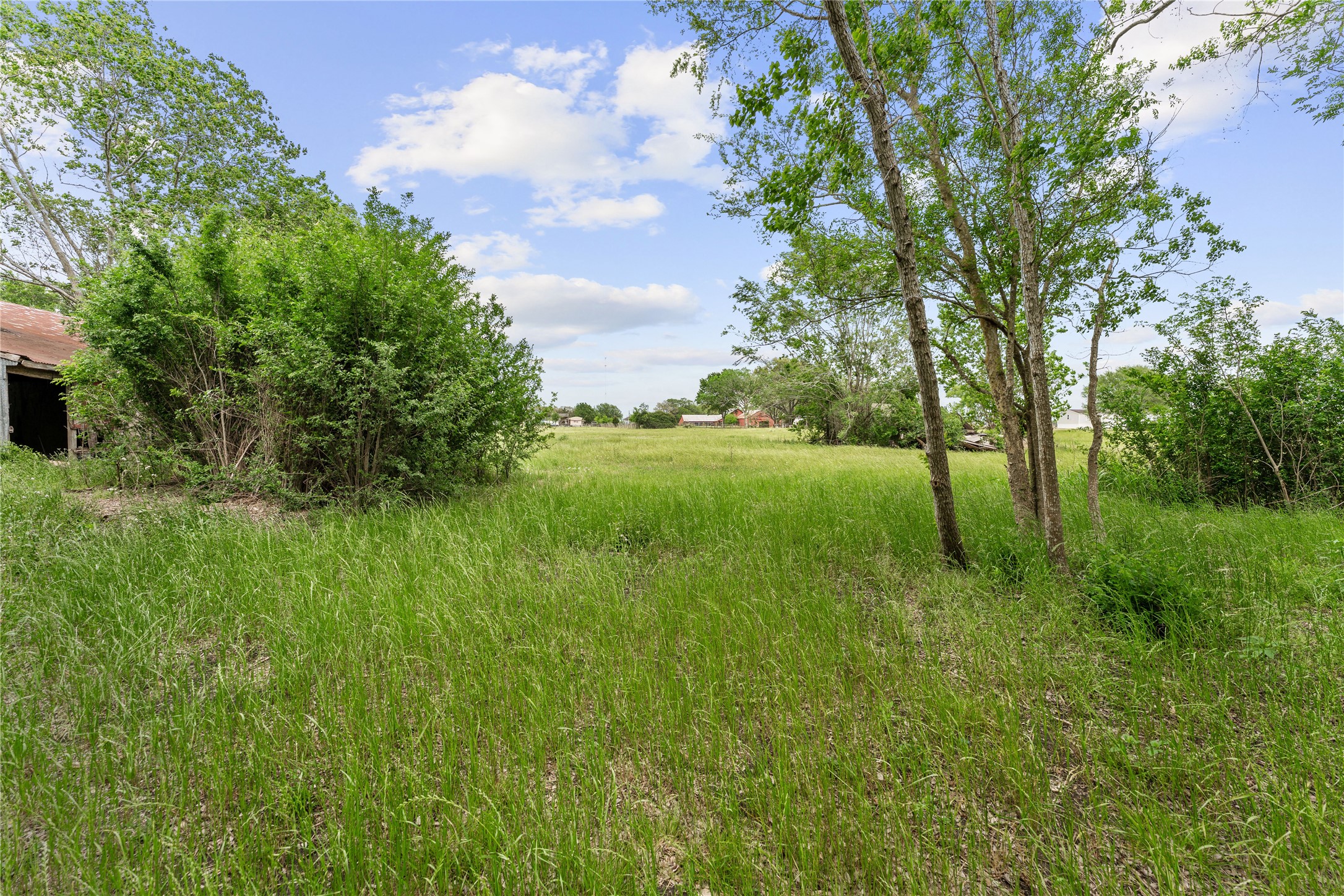 3325 FM 360 Road Rosenberg, TX 77471 - Photo 14 of 22 a view of backyard with green space
