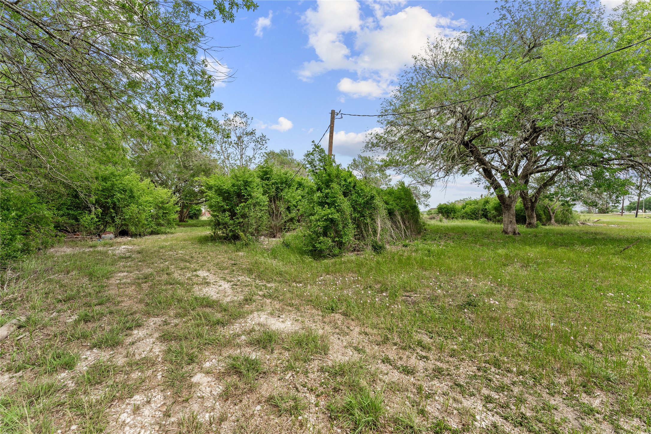 3325 FM 360 Road Rosenberg, TX 77471 - Photo 17 of 22 a view of yard with green space