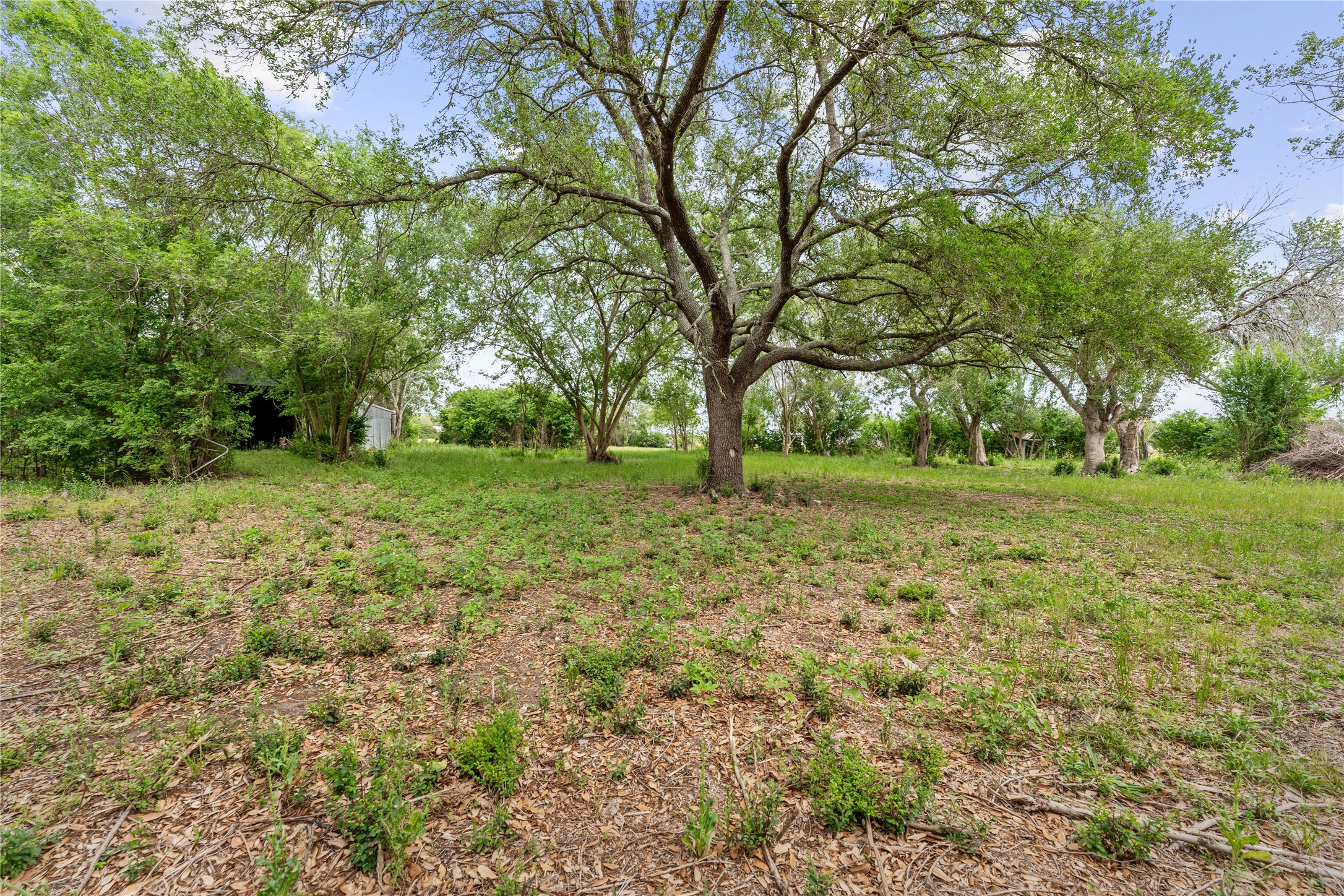 3325 FM 360 Road Rosenberg, TX 77471 - Photo 18 of 22 a view of a grassy field with trees