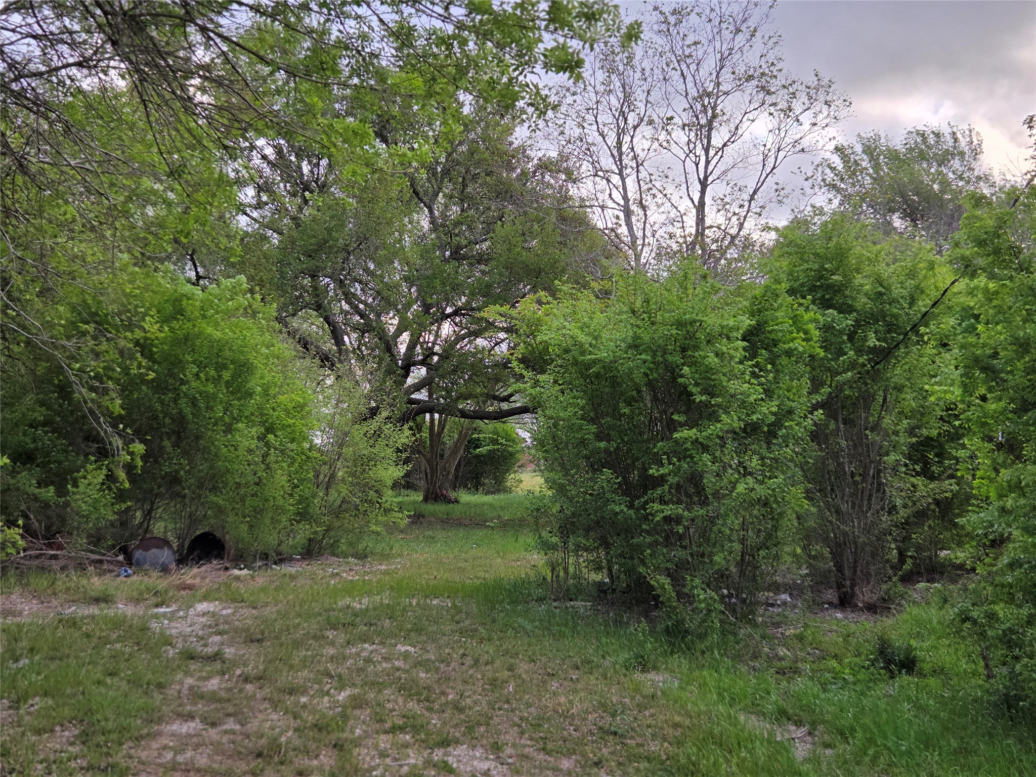 3325 FM 360 Road Rosenberg, TX 77471 - Photo 20 of 22 a view of a forest