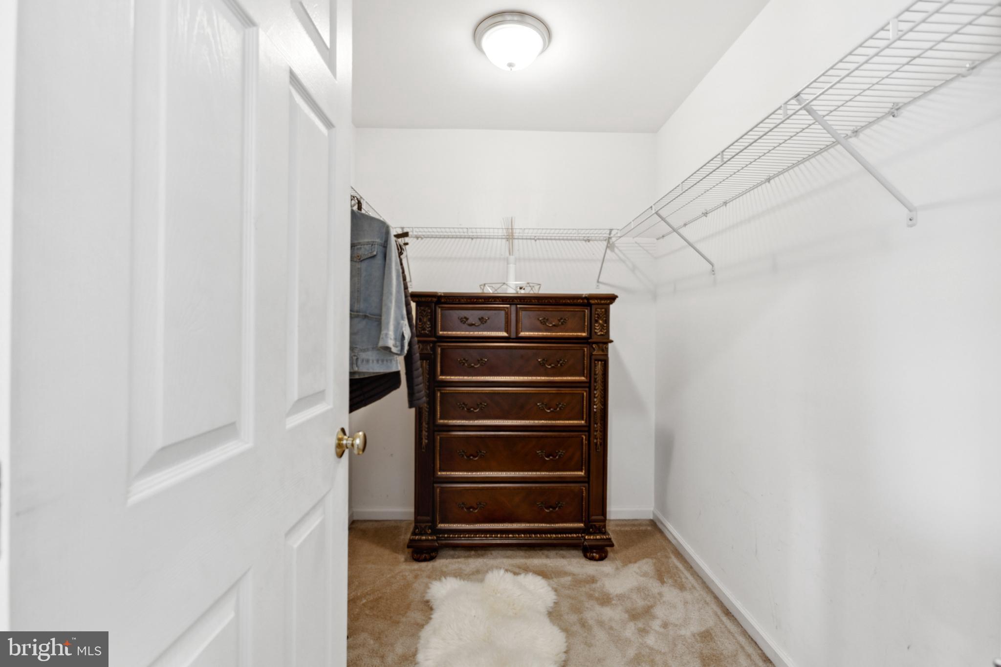 17 Brook Ramble Lane Townsend, DE 19734 - Photo 12 of 35 a view of walk in closet