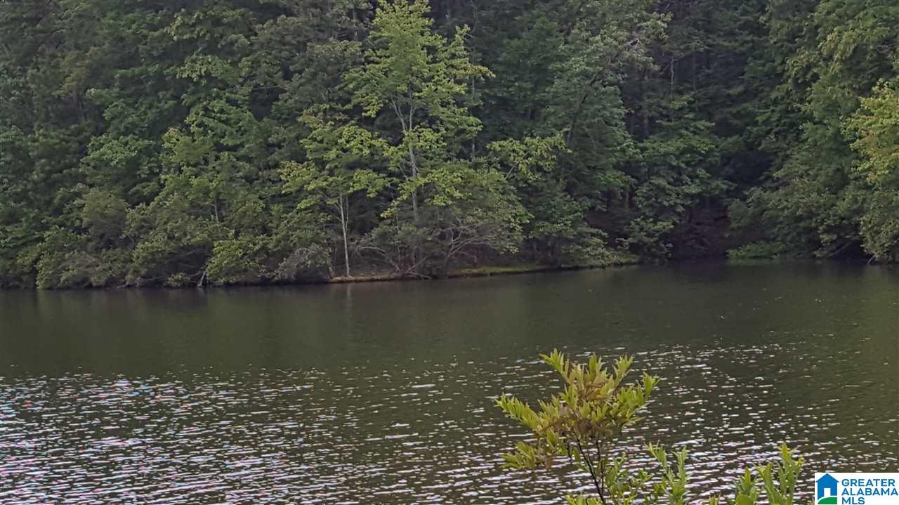 11-acres Deer Run Road, Unit 148330000001 010 Alabaster, AL 35007 - Photo 18 of 34