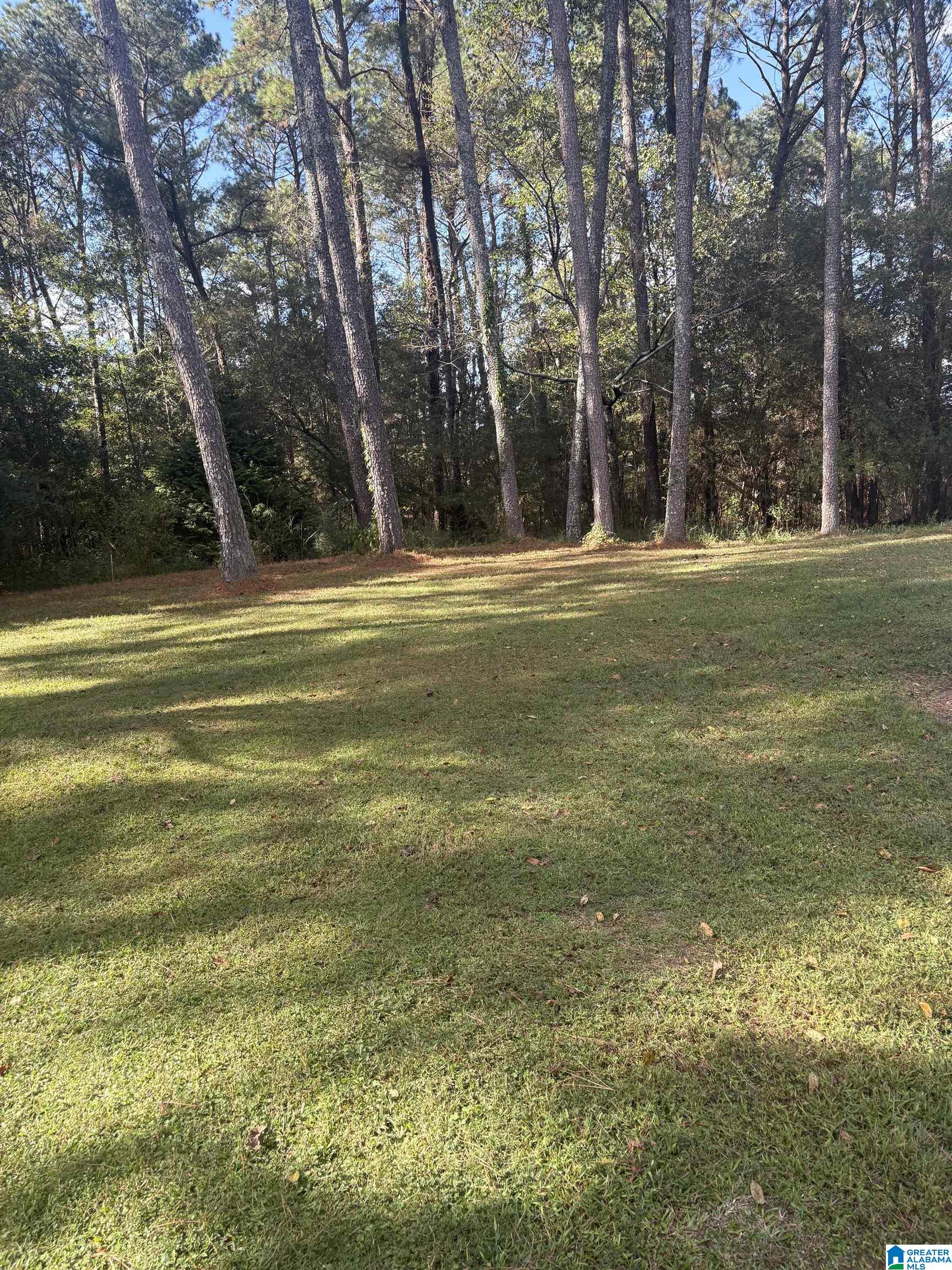 1055 Page Spring Road Blountsville, AL 35031 - Photo 4 of 22