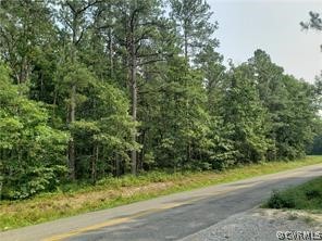 0 Blanton Road Ashland, VA 23005 - Photo 1 of 2 View of street