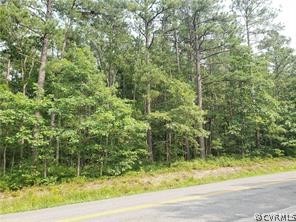 0 Blanton Road Ashland, VA 23005 - Photo 2 of 2 View of street