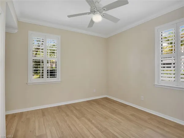 a view of a flower in a garden