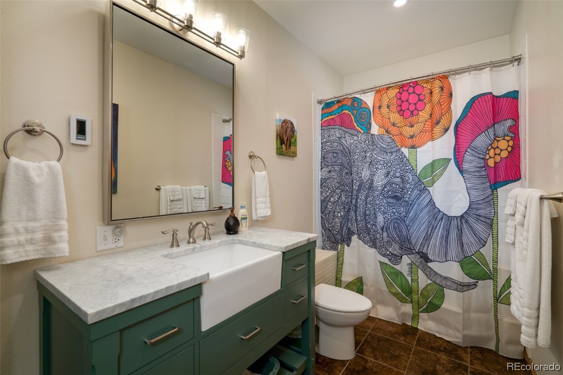 58195 Jupiter Place Clark, CO 80428 - Photo 23 of 29 a bathroom with a sink mirror vanity and toilet