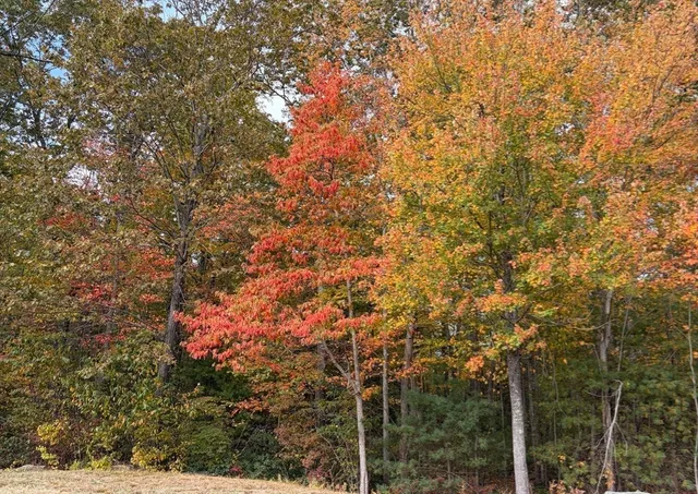 $435,000 | 6 Ryans Way, Unit 6, Rochdale, MA 01542