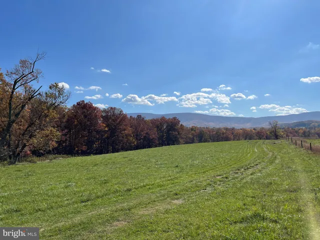 a view of road with trees