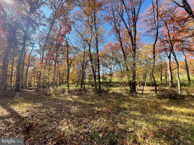 a view of an outdoor space and a yard