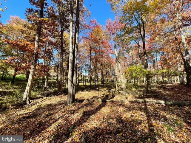 $349,200 | Lot 63 Buck Mountain Road, Bentonville, VA 22610