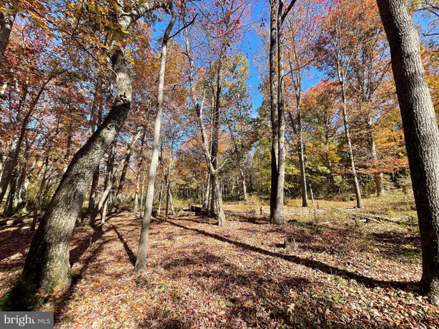 $349,200 | Lot 63 Buck Mountain Road, Bentonville, VA 22610