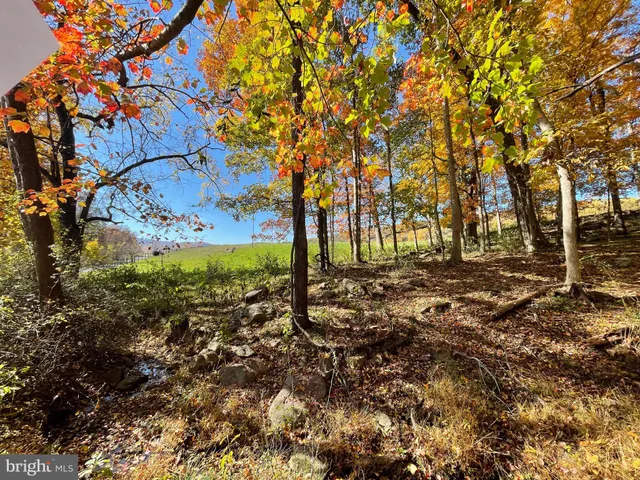 $349,200 | Lot 63 Buck Mountain Road, Bentonville, VA 22610