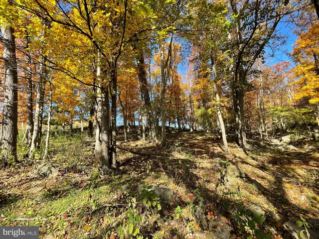 $349,200 | Lot 63 Buck Mountain Road, Bentonville, VA 22610