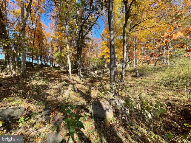 $349,200 | Lot 63 Buck Mountain Road, Bentonville, VA 22610