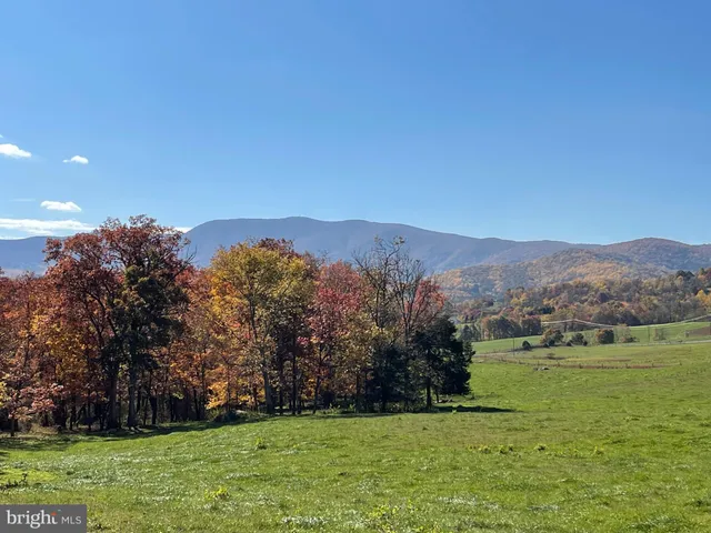 a view of a yard with a tree