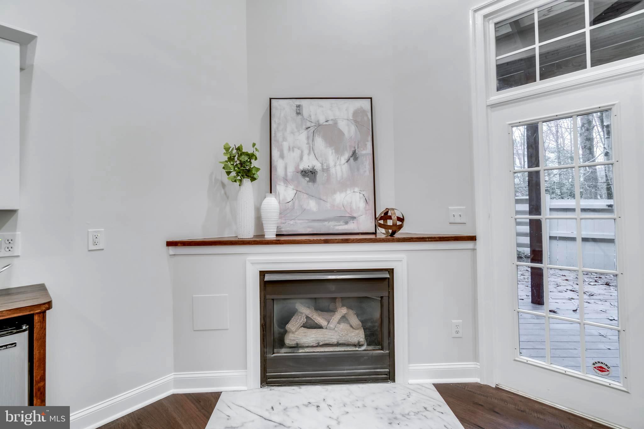 1318 Sundial Drive Reston, VA 20194 - Photo 27 of 52 Cozy Gas fireplace...warm drinks in fall & winter