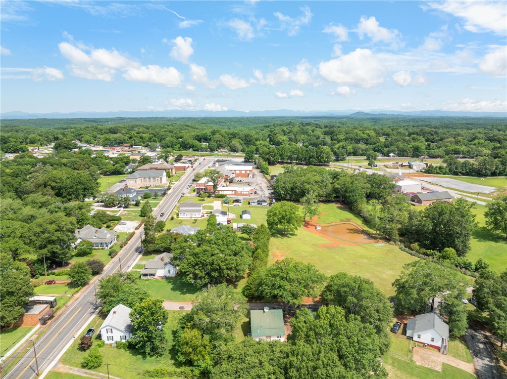 108 Tarrant Street Central, SC 29630 - Photo 40 of 42 An aerial perspective reveals a serene, verdant landscape with homes nestled among mature trees.