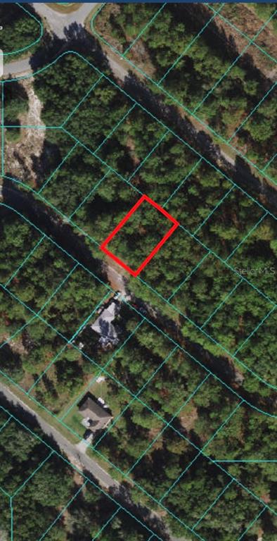 0 Locust Course Lane Ocala, FL 34472 - Photo 1 of 1 Gallery Image 1