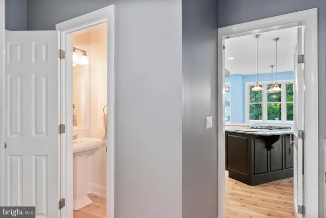 a view of a park with large trees