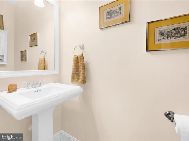 a view of a trees in a yard