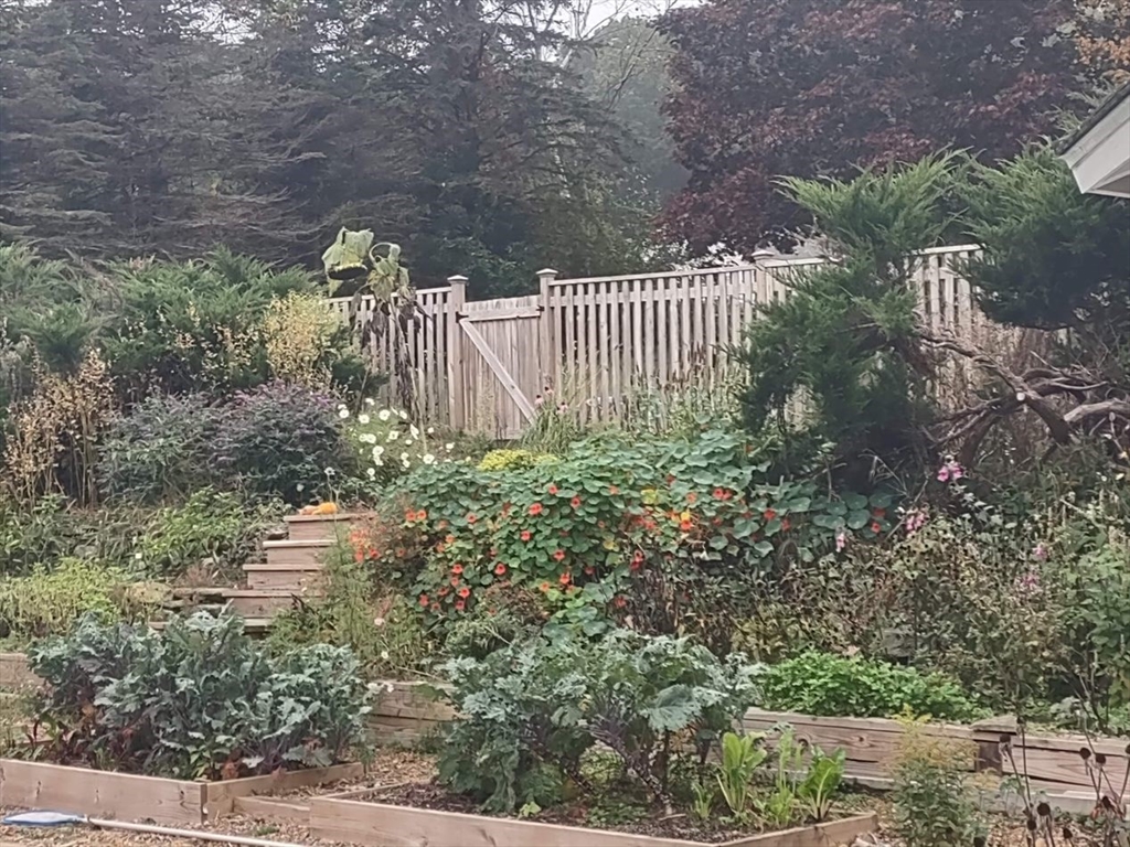 1341 Hardwick Road Hardwick, MA 01037 - Photo 8 of 27 a view of outdoor space and garden